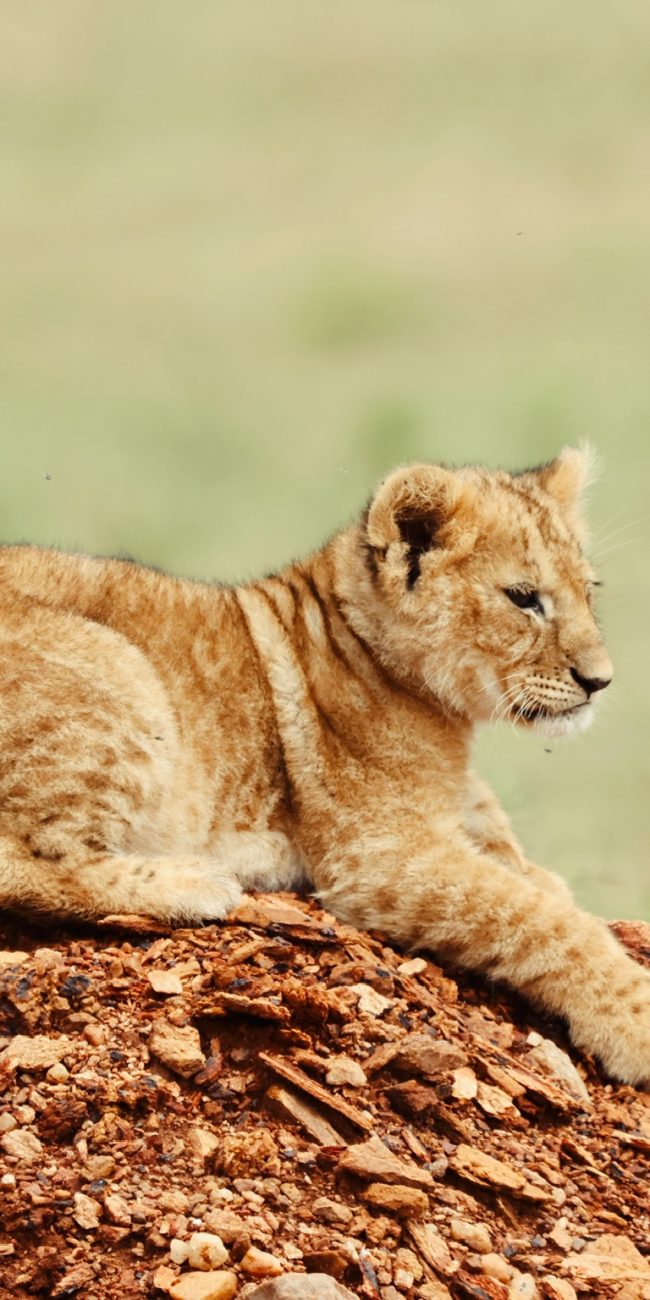 Created with RNI Films app. Profile 'Agfa RSX II'