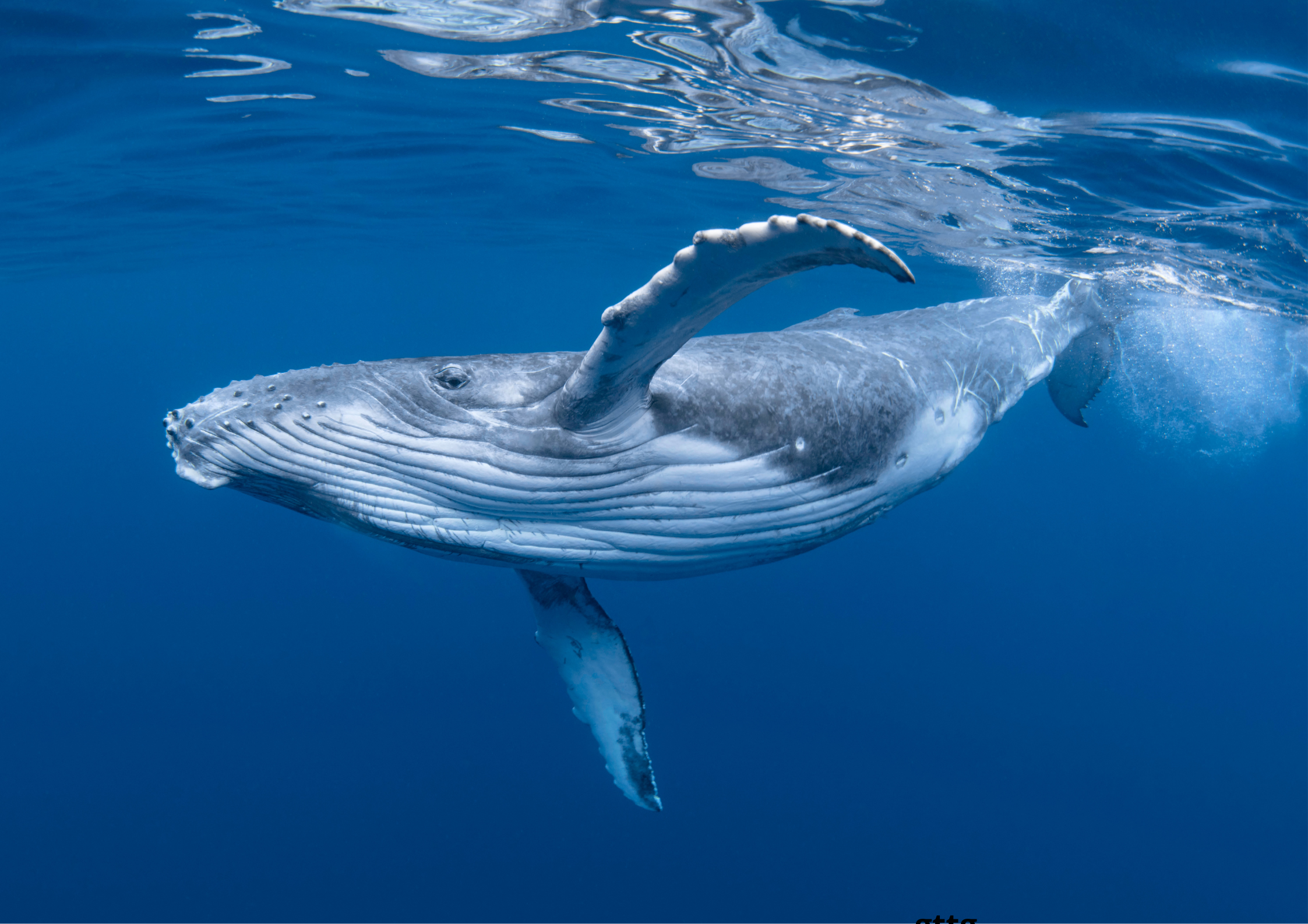 Sin título (A2 (horizontal)) (1)