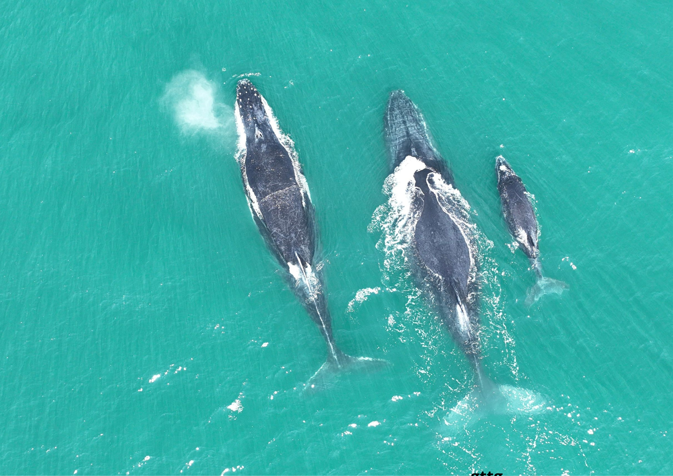 Sin título (A2 (horizontal)) (2)