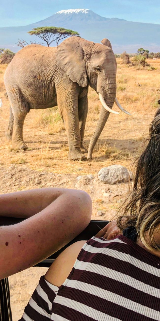 384AC360-7360-4A56-AA4B-82BB6BC27612